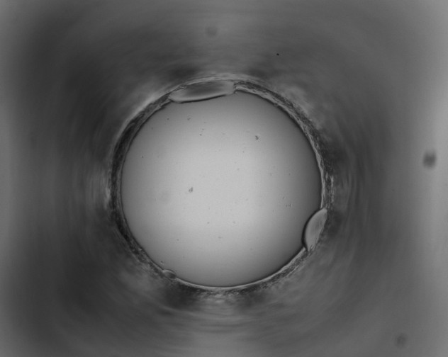 X0000102841165200809021330