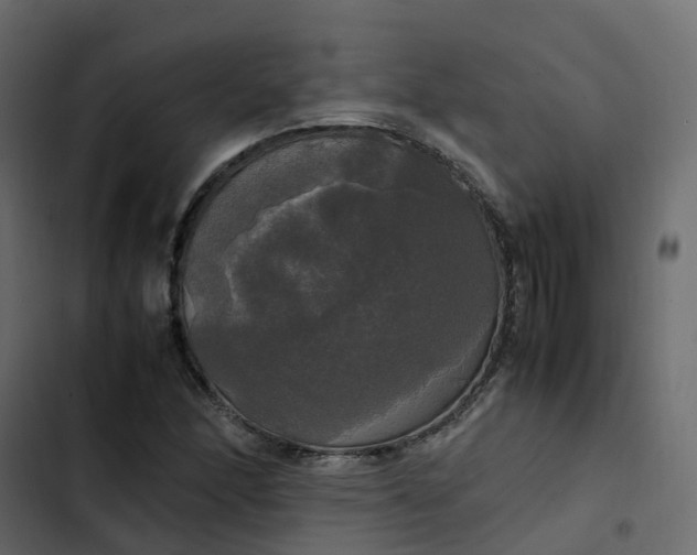 X0000102841166200809021330