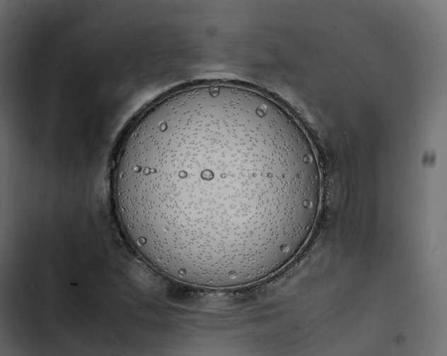 X0000102841167200809021330