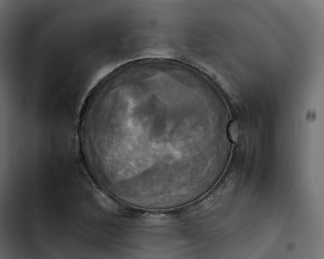 X0000102841168200809021330