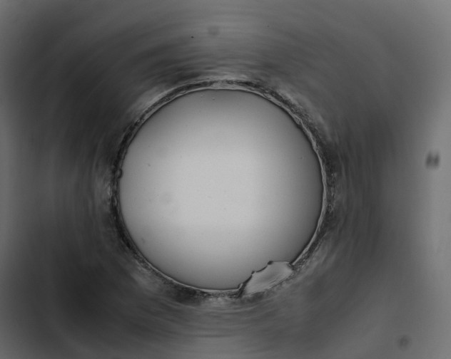 X0000102841169200809021330