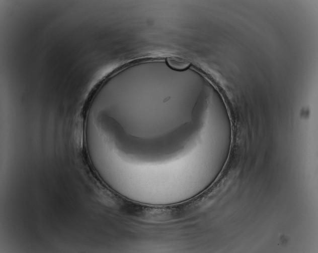 X0000102841171200809021329