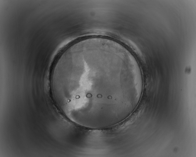 X0000102841172200809021329