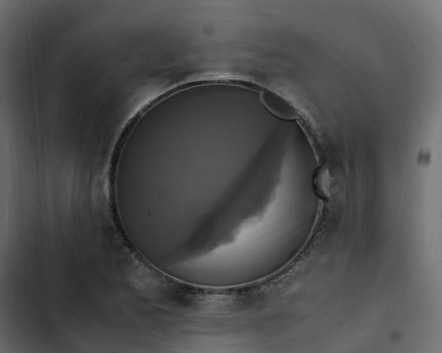 X0000102841173200809021329