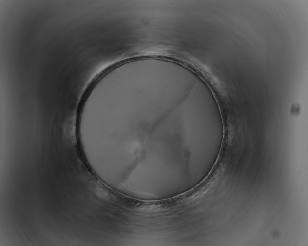 X0000102841174200809021329