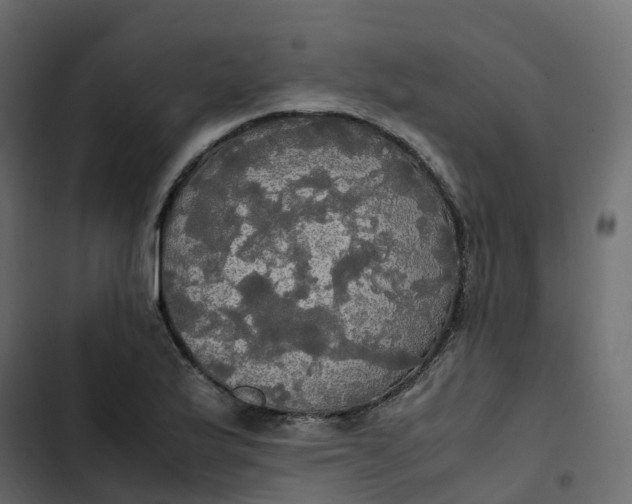 X0000102841175200809021329