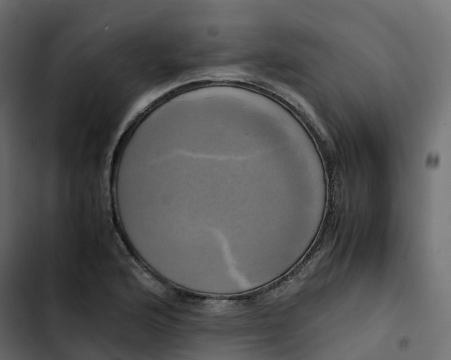 X0000102841176200809021329