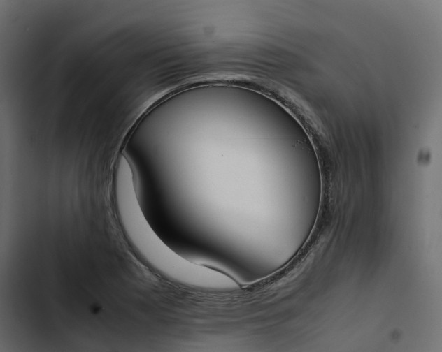 X0000102841177200809021329