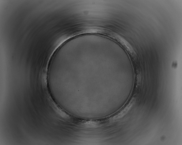 X0000102841178200809021329