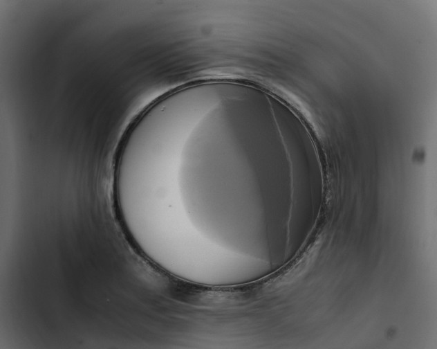 X0000102841179200809021329