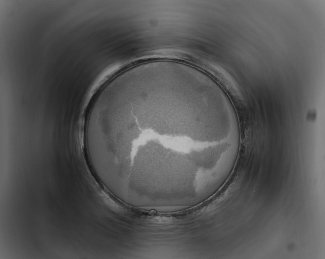 X0000102841180200809021329