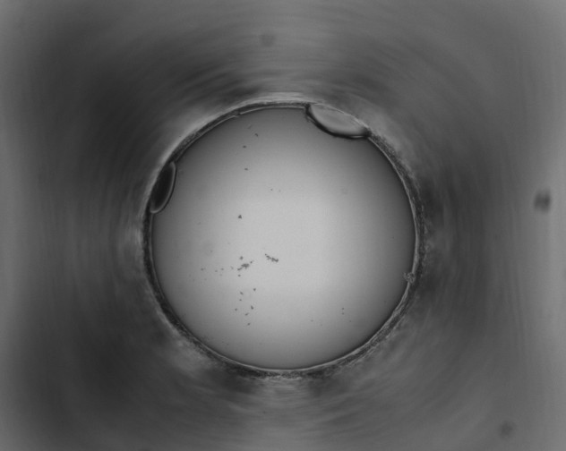 X0000102841181200809021329