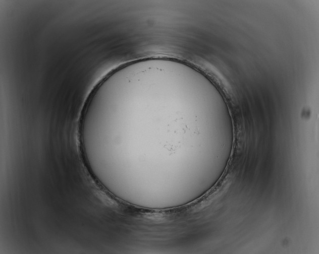 X0000102841182200809021329