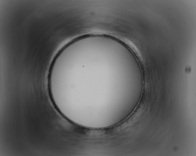 X0000102841183200809021329