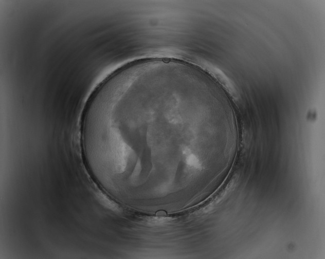 X0000102841184200809021329