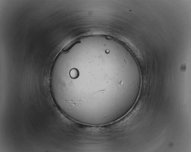 X0000102841185200809021329