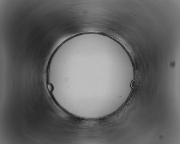 X0000102841187200809021329