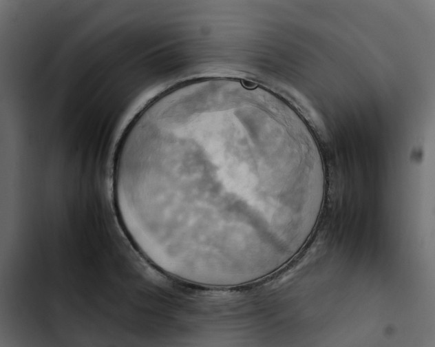 X0000102841188200809021329