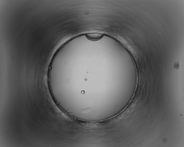 X0000102841189200809021329