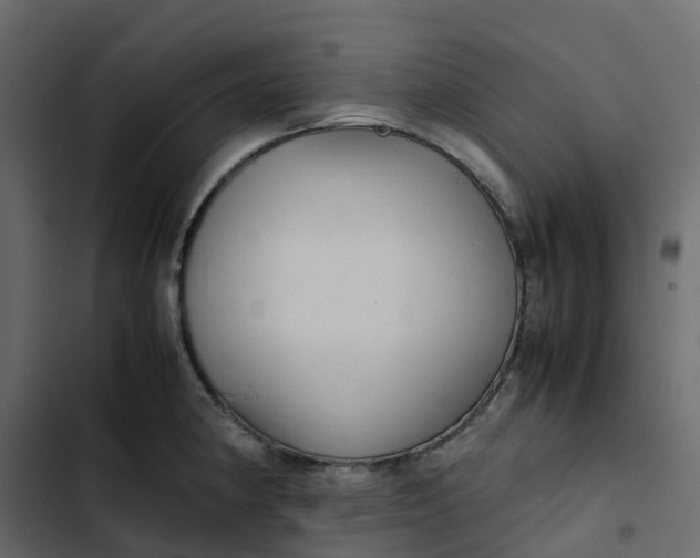 X0000102841190200809021329