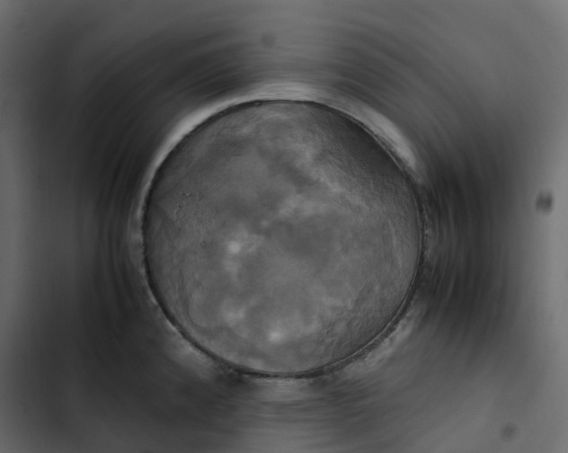 X0000102841192200809021329