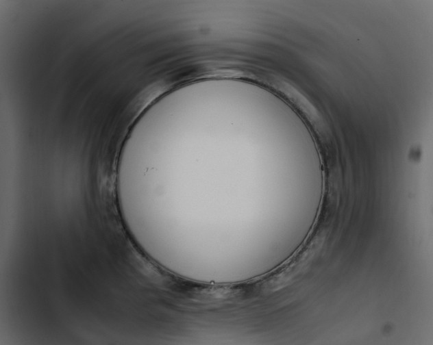 X0000102841193200809021329