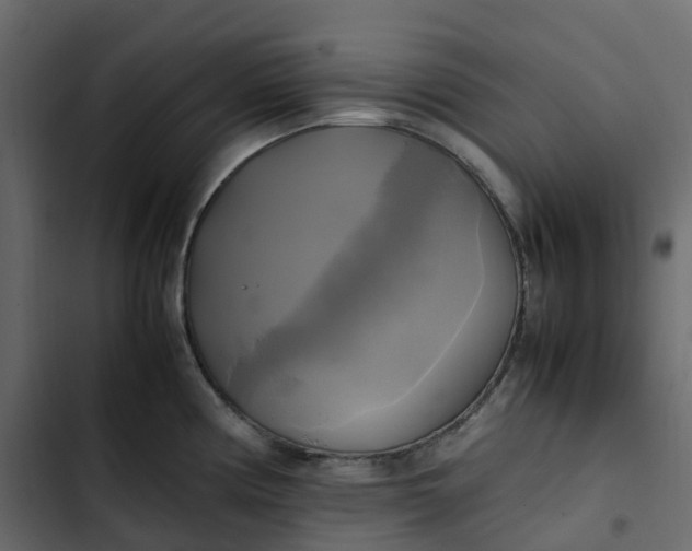 X0000102841194200809021329