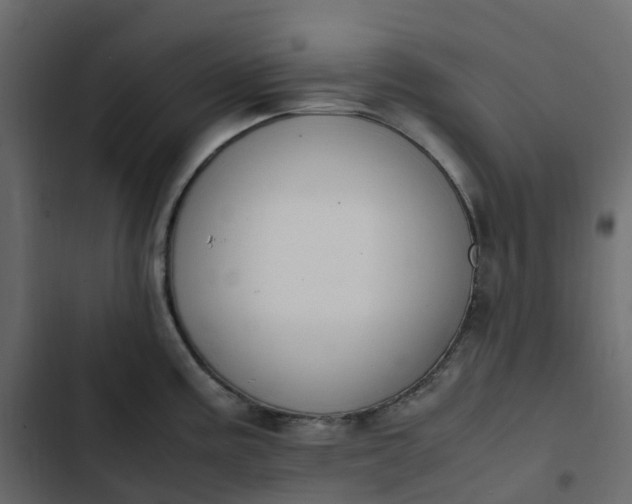 X0000102841195200809021329