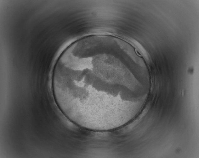 X0000102841196200809021329