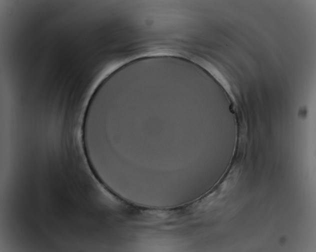 X0000102841197200809021329