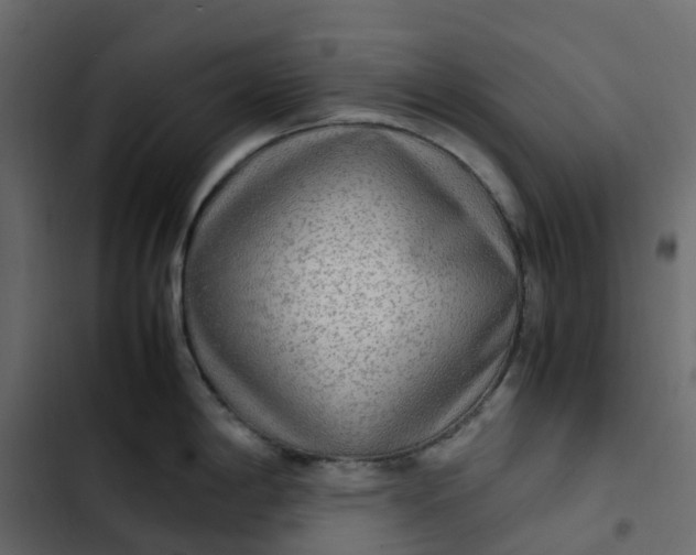 X0000102841198200809021329