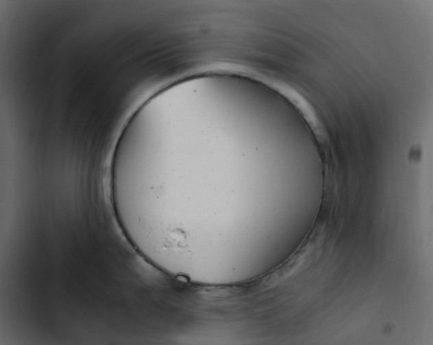 X0000102841199200809021329