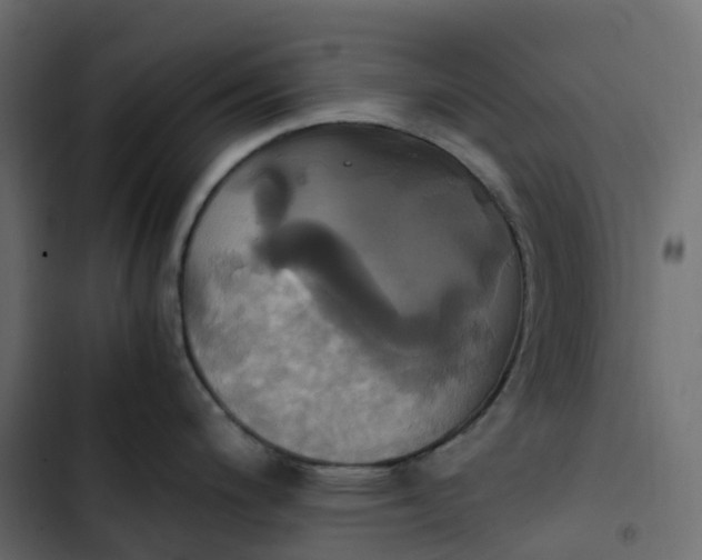 X0000102841200200809021329