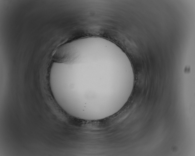 X0000102841201200809021328