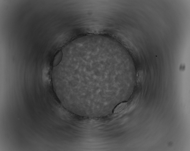 X0000102841202200809021328