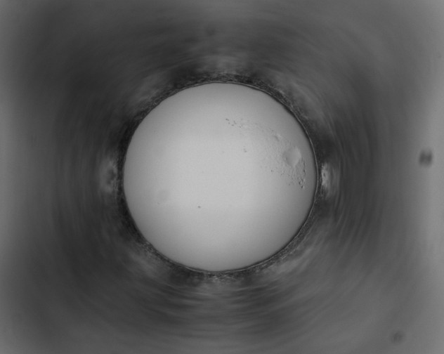 X0000102841203200809021328