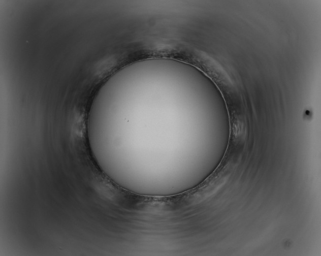 X0000102841204200809021328