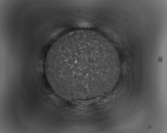 X0000102841205200809021328