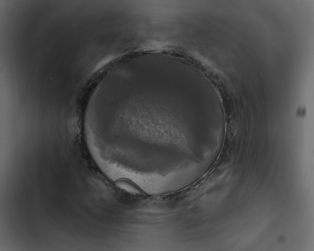 X0000102841206200809021328