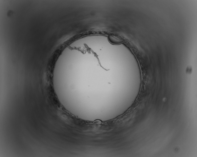 X0000102841207200809021328