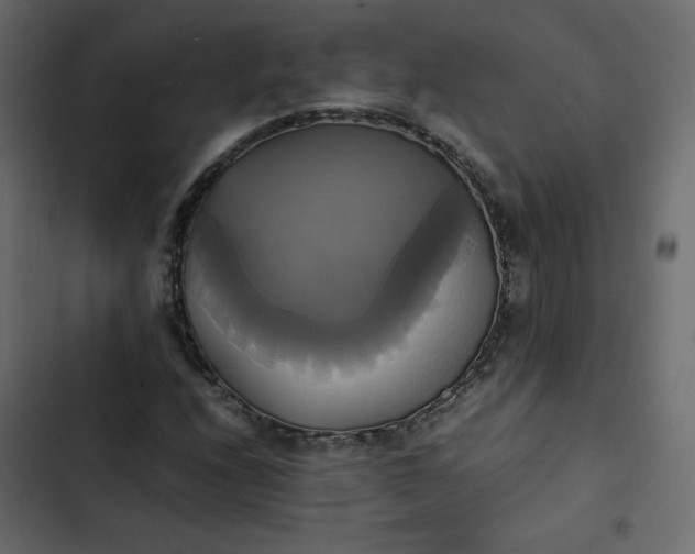 X0000102841208200809021328