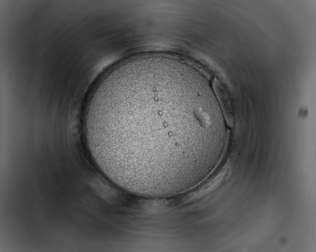 X0000102841210200809021328