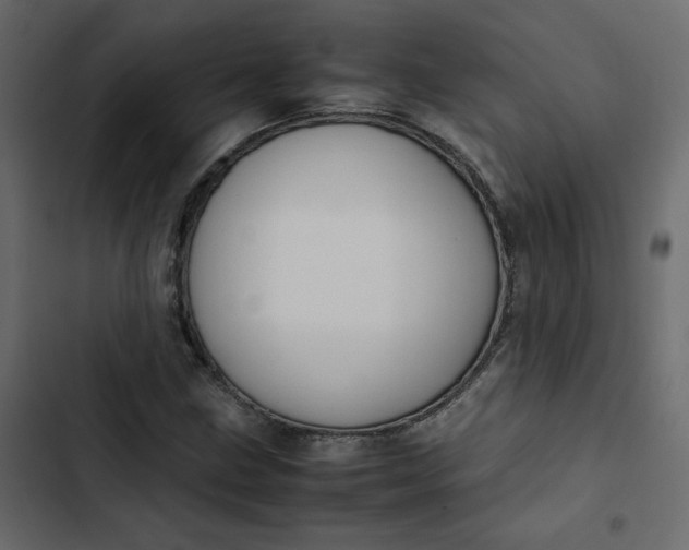 X0000102841211200809021328