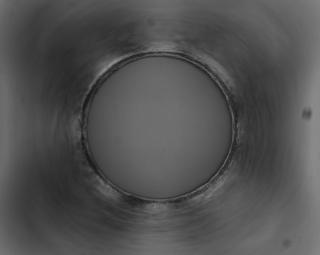 X0000102841212200809021328