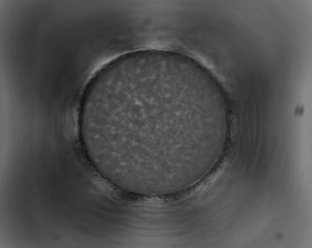 X0000102841214200809021329