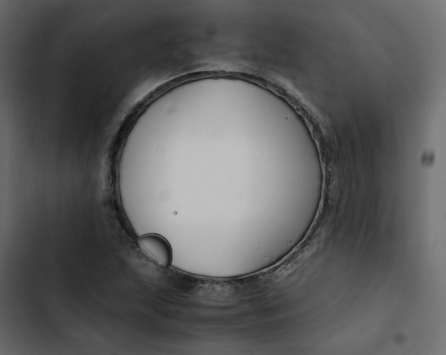 X0000102841215200809021329