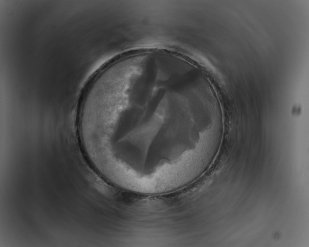 X0000102841216200809021329