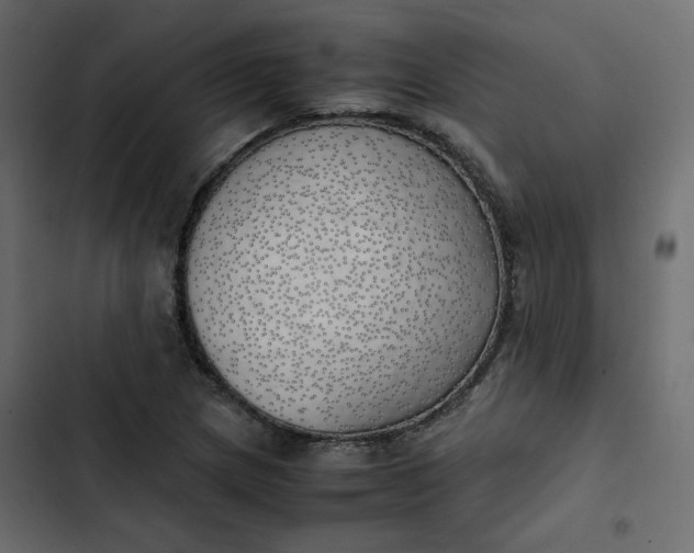 X0000102841217200809021329