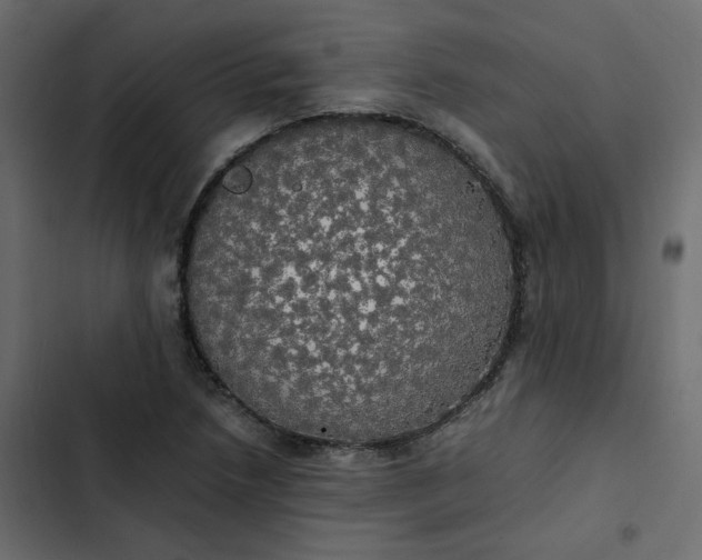 X0000102841218200809021329