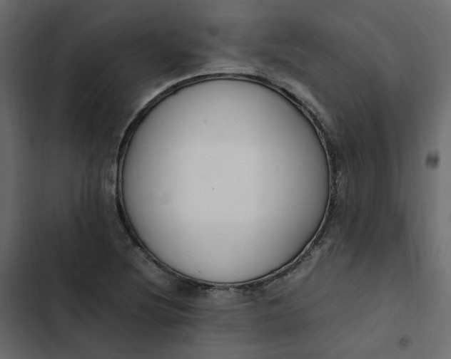 X0000102841220200809021329